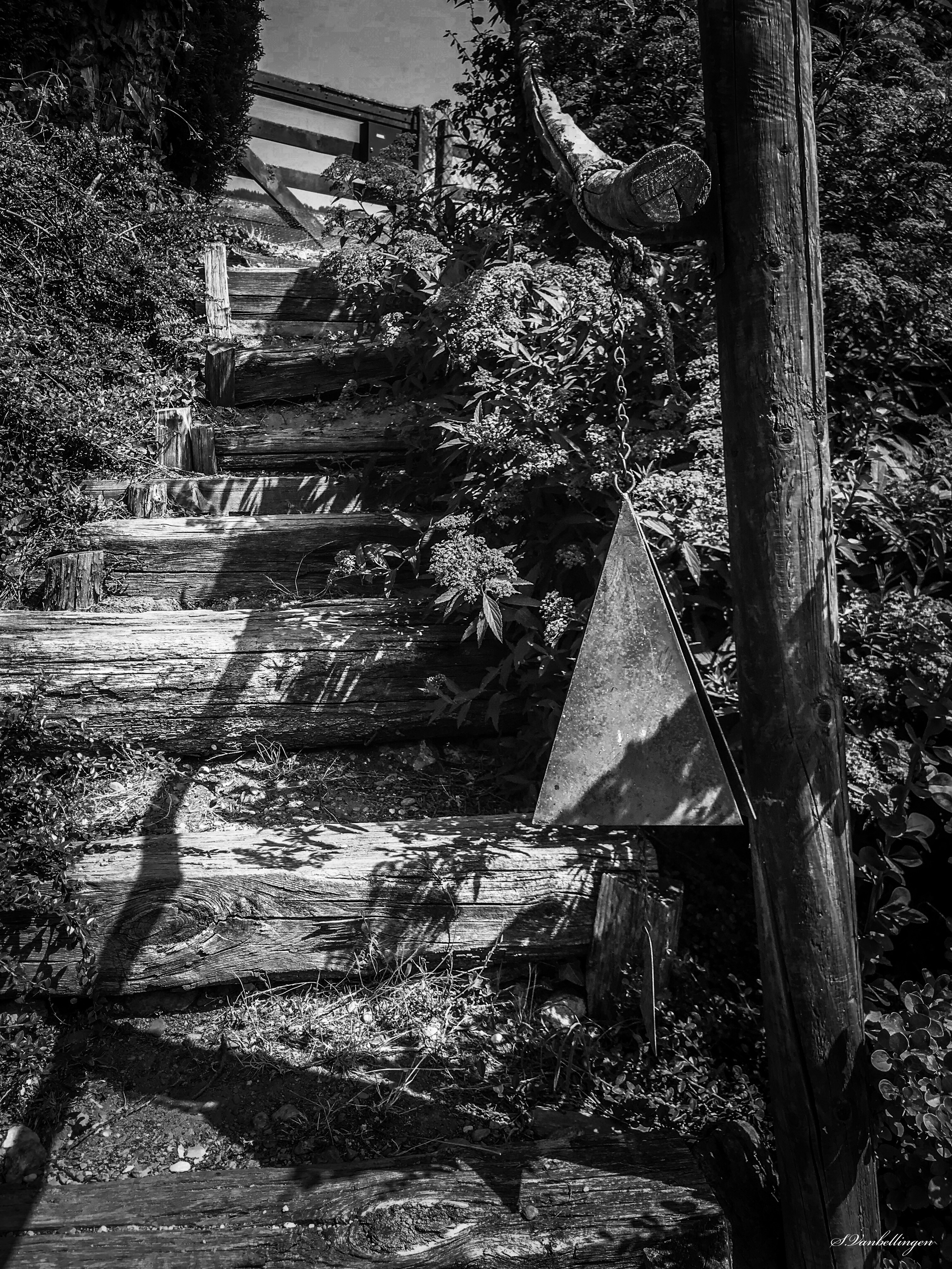 marches-escaliers-bois